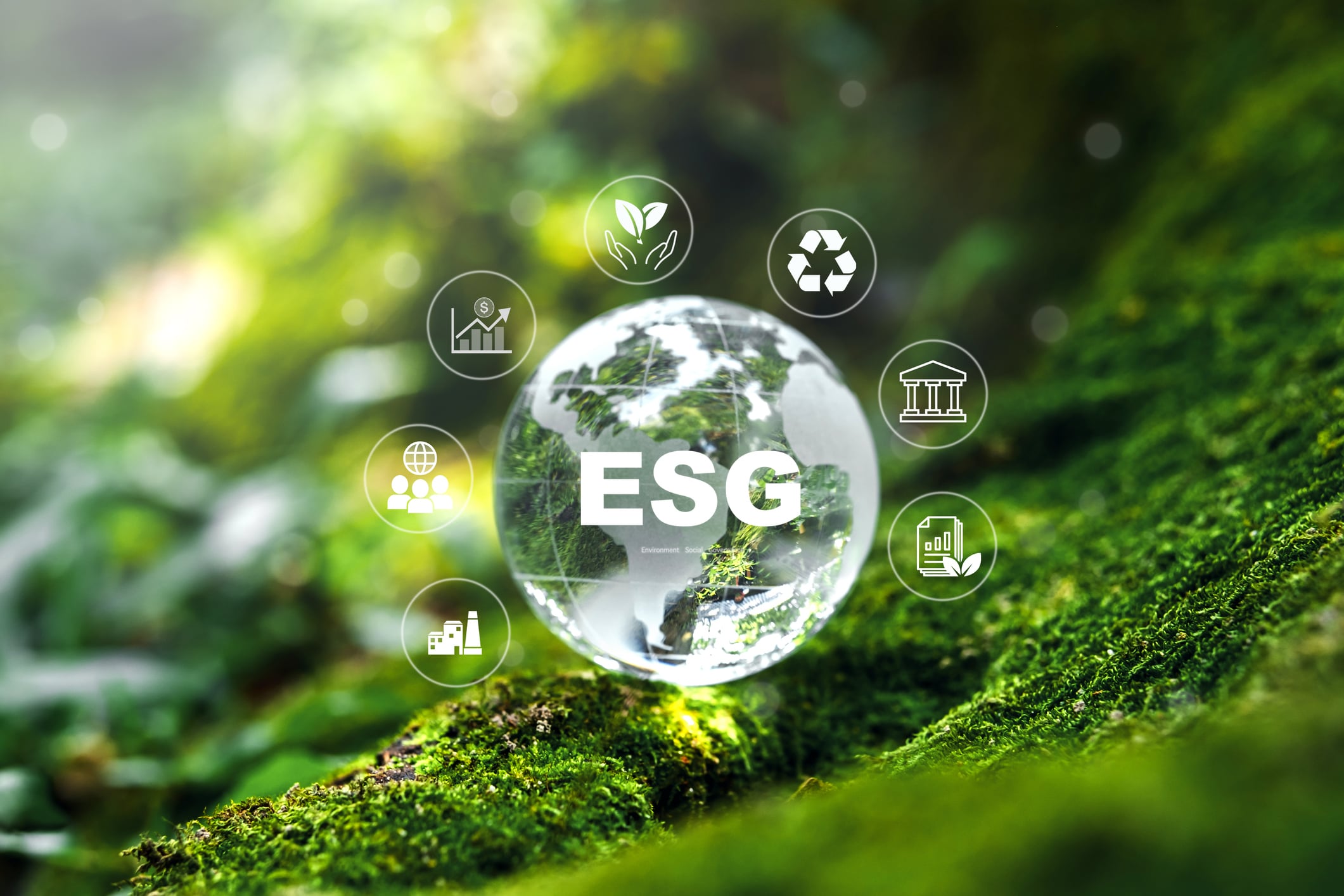 The Future of ESG in the UK Financial Services Sector