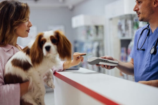 Solution integration and data as the new oxygen: Merchants need assistance